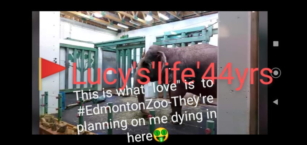 JulieKi53713414's tweet photo. ...and then when she's not on Di$play for Cu$tomer$, y'all PARK her 90-95% of her 'life' staring inside that 50ft Cement Echoing Dark PRI$ON CELL for more Cu$tomer$ to "interact" with her for $10,000 each Corporate Group or $250-$500 each for Families βοΈ #PureGreed πππ¨π¦π΅πππ https://t.co/wIKpLUmgKW