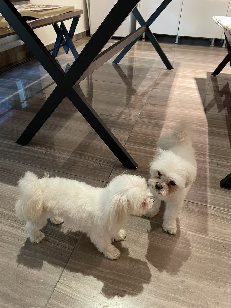 35 yaşındaki ben 24 yaşındaki ben’e bakıyo