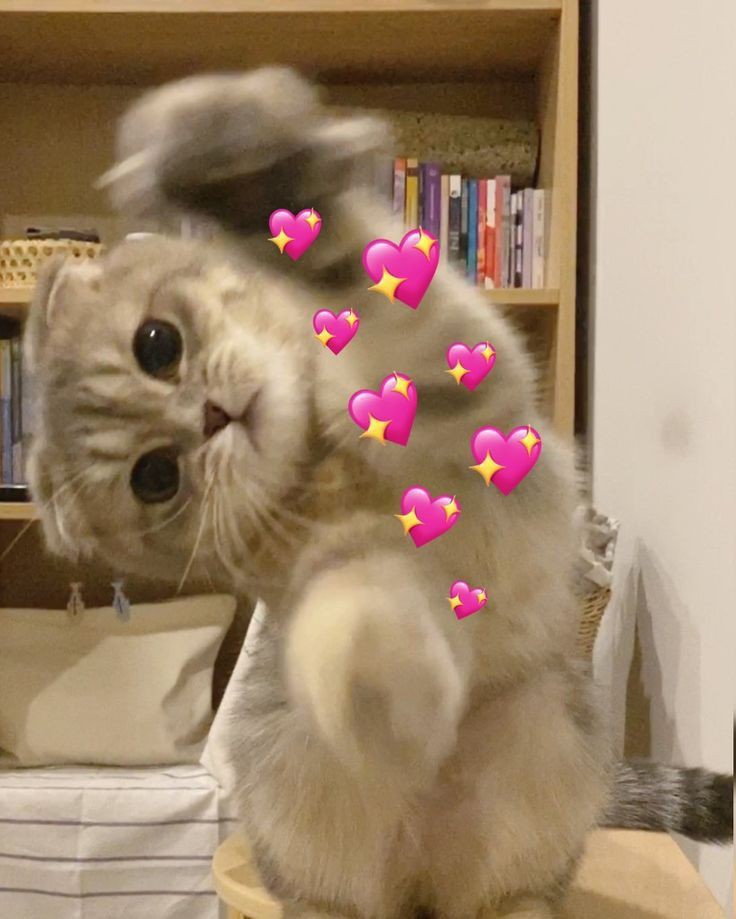 Вы важны. Вы ценны. Вы можете быть собой. Я горжусь каждым из вас. Я люблю каждого из вас. Спасибо что вы существуете. Вы хорошо справляетесь, стараетесь. Вы сильны. Вы делаете мир лучше.