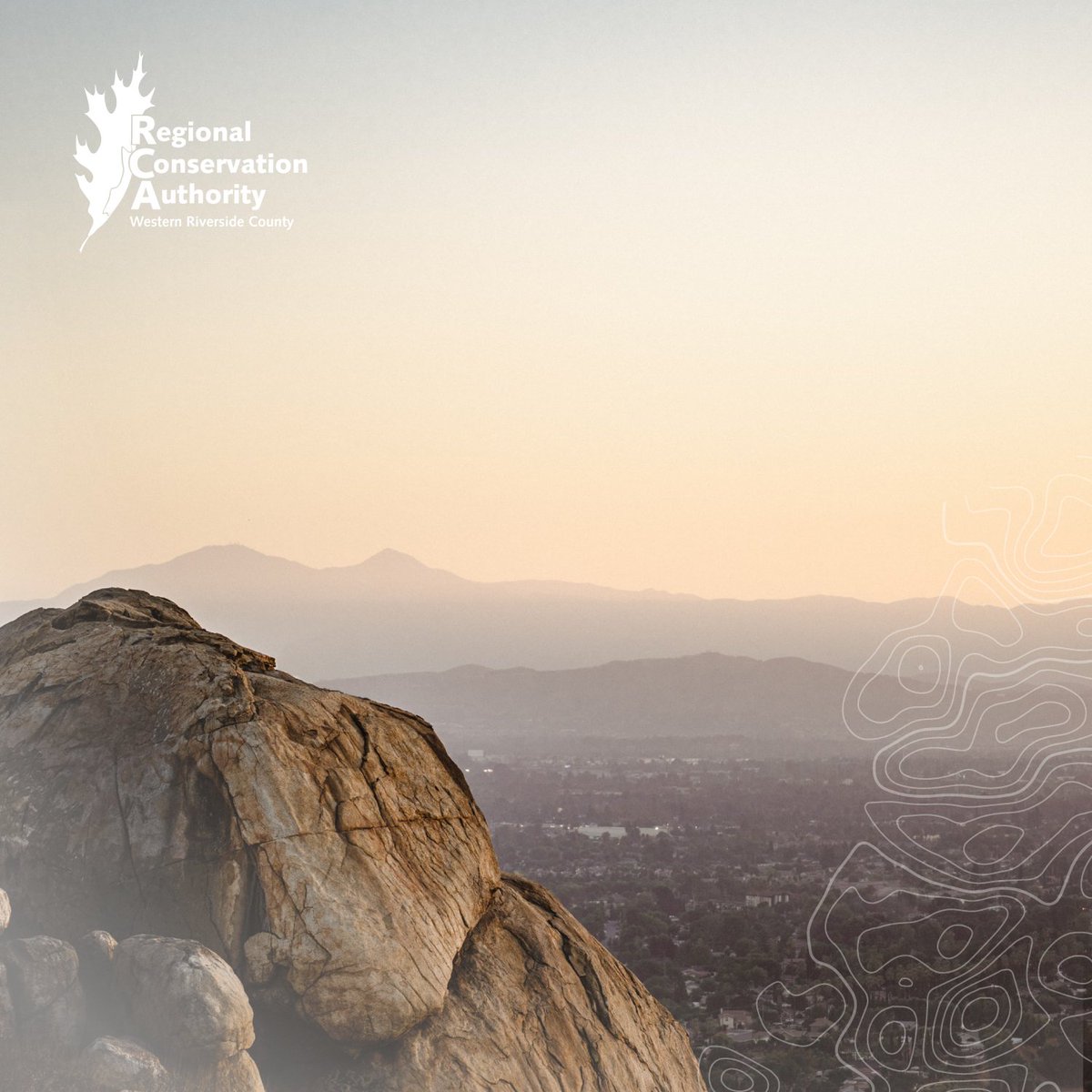 WesternRCA's tweet photo. The western Riverside County MSHCP area is nearly 2,000 square miles. That's bigger than the state of Delaware. The #MSHCP protects 146 native animal and plant species, including 33 endangered species.
#Conservation #RiversideCounty https://t.co/lVAriCecFF