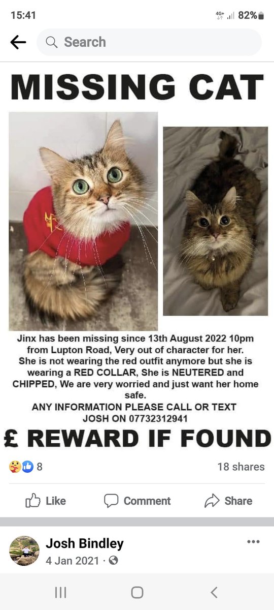 siobhan1968's tweet photo. Missin from Low Edges  Sheffield pleasie RT @HelpSheffield @antfrosty https://t.co/5gAHeETRx2