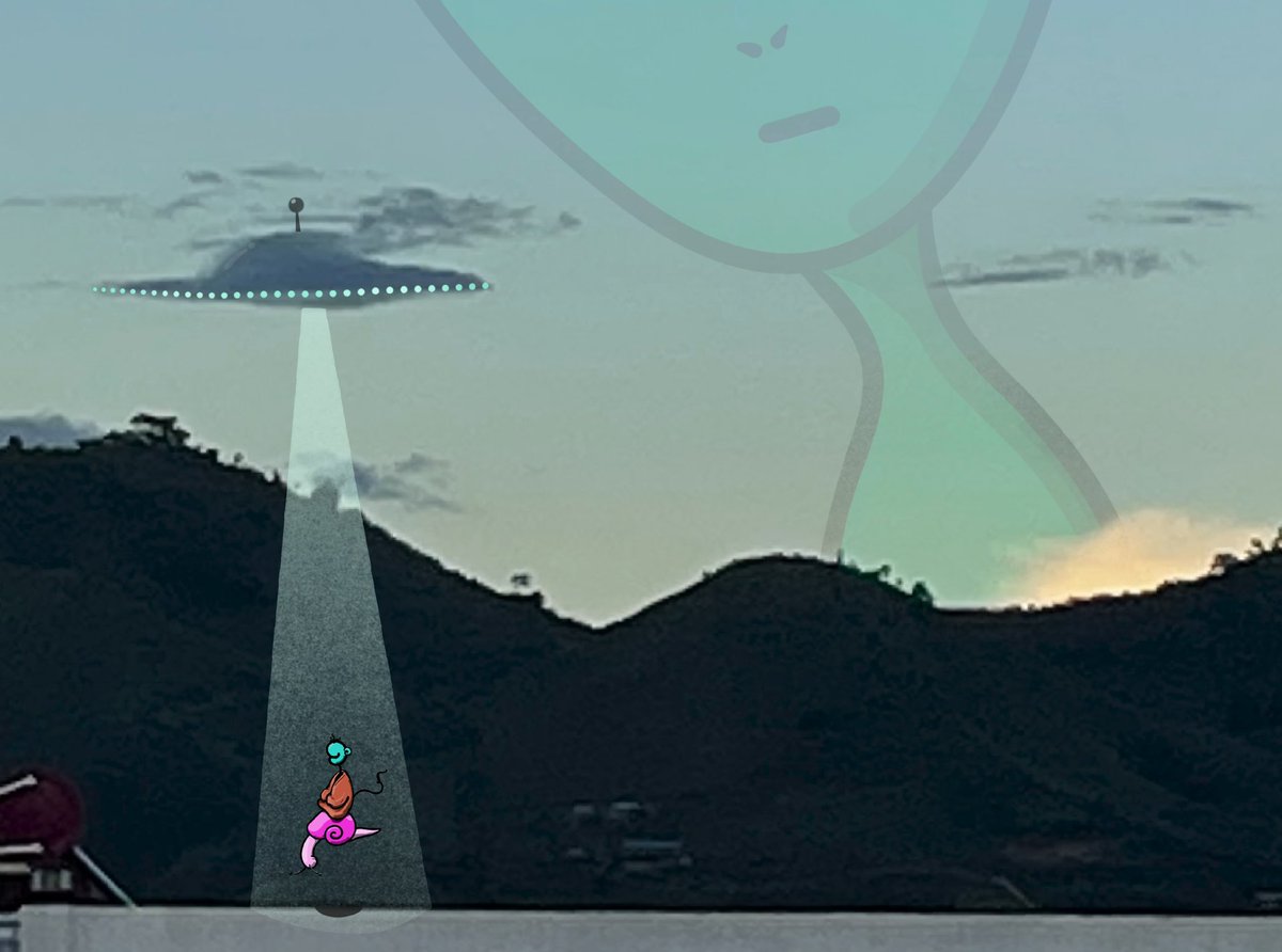 豆子世界 tweet media