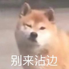 我和小鲨鱼昨天晚上都梦到了对方出轨。