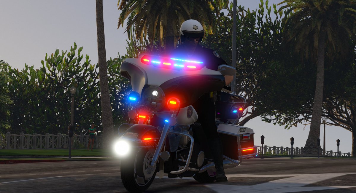 ThatGuyCarson 🇺🇲 tweet media