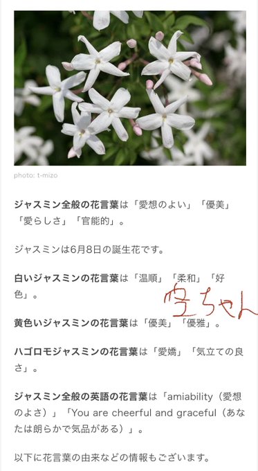 七つの大罪のtwitterイラスト検索結果
