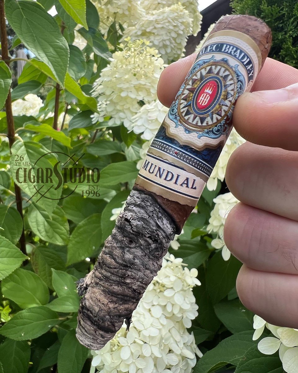 CIGAR_STUDIO_'s tweet photo. Back In Stock And One Of My Favourite Alec Bradley’s. Alex’s Monday Cigar Pick Is The Mundial PL No.5

Country of Origin: Honduras  
Shape: Perfecto
Strength: 4
Size: 5 1/8 x 52
Palate Taste: Espresso, Leather
Price: $$

Cigar Studio Since 1996.

https://t.co/cUKW3YAyQk https://t.co/xEex6rZSly