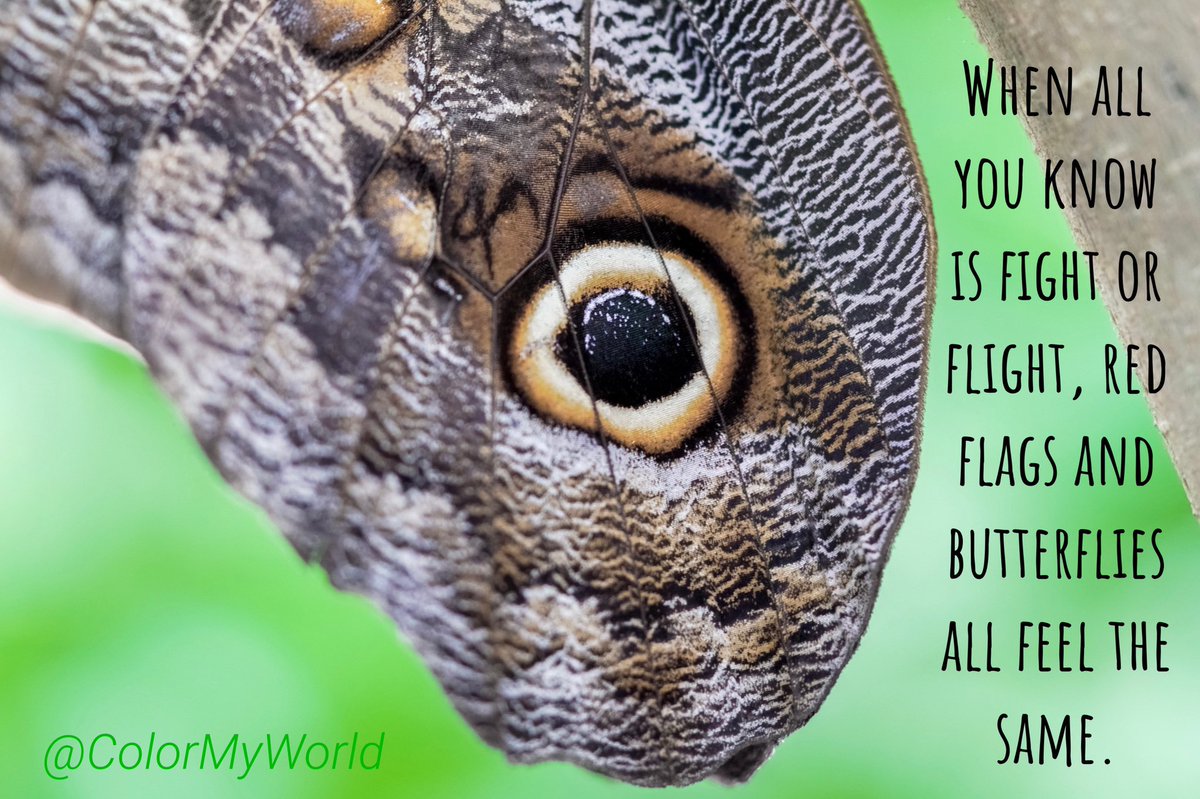 ColorMyWords's tweet photo. You’re not alone 💔❤️‍🩹

#MentalHealthAwareness #mentalhealth #abuse #PTSD #Trauma #traumatized #helpless https://t.co/QV55nxL32k