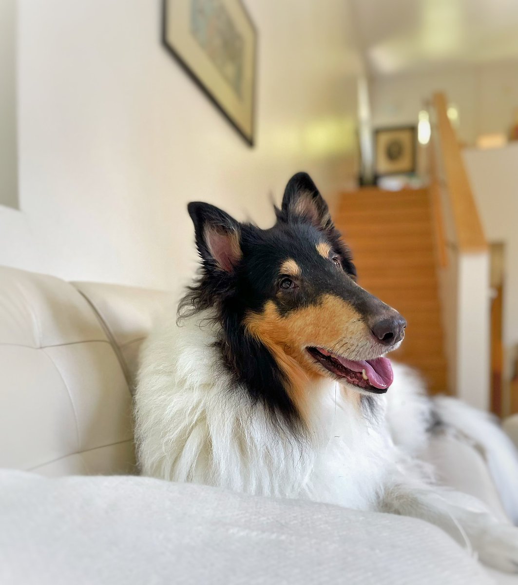 Robert Birman tweet media