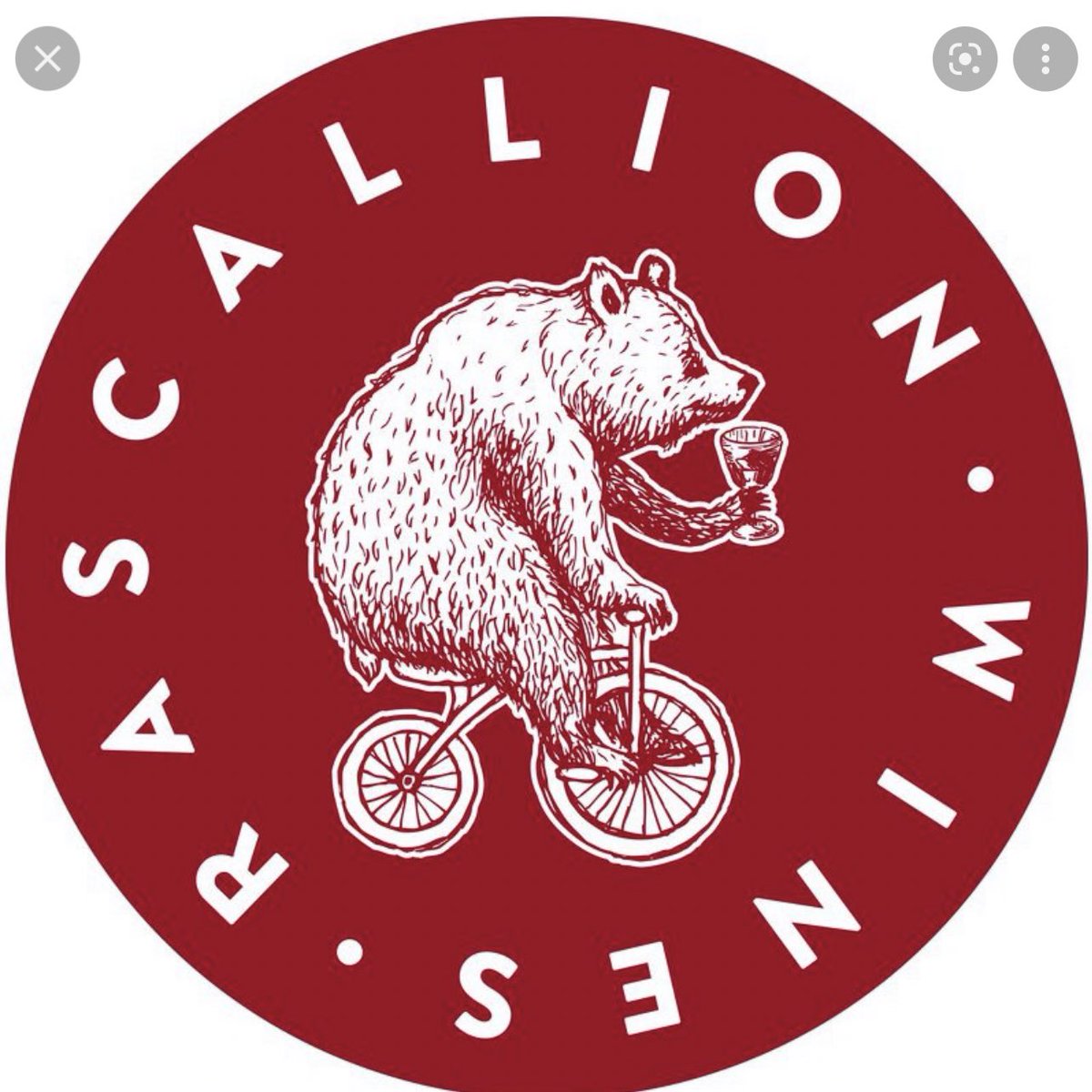 South Africa’s @rascallionwines is seeking a new production & business partner as co-owner, David Kretzmar, exits the business. Opportunity to access sales agency agreements in key export markets (eg Canada, Japan & the UK) & national/ regional accounts in South Africa.