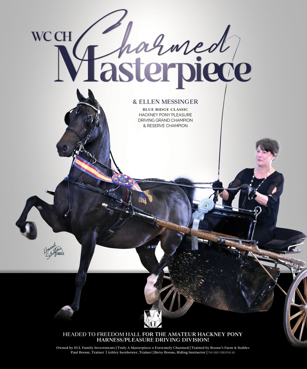 TNH1865's tweet photo. #nationalhorseman #blueridgeclassic #worldschampionship #ellenmessinger #eclfamilyinvestments #boonesfarmandstables #pleasuredriving #hackneyhorse https://t.co/QcnXCR2TJ8