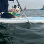 ツイートに含まれる画像