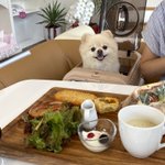 ツイートに含まれる画像