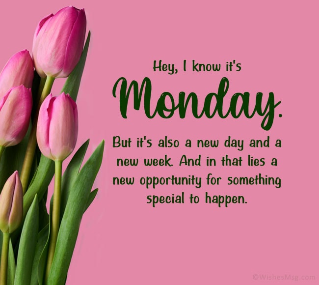 REDealsDirect's tweet photo. Pleasure in the job puts perfection in the work. Happy Monday!

#investment #invest #goals #success #motivation #rei #realestateinvestor #hustle #grind #educate #growth #home #monday #motivation #mondayvibes #motivationmonday #wealth #REDD #realestatedealsdirect https://t.co/vgFKMA926K