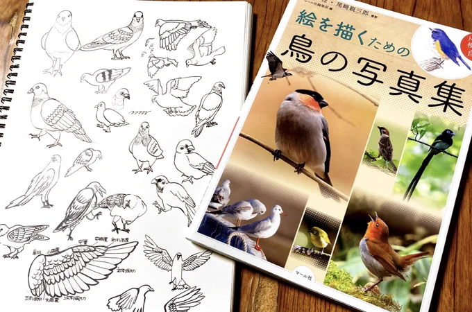 きょうの練習ページ 