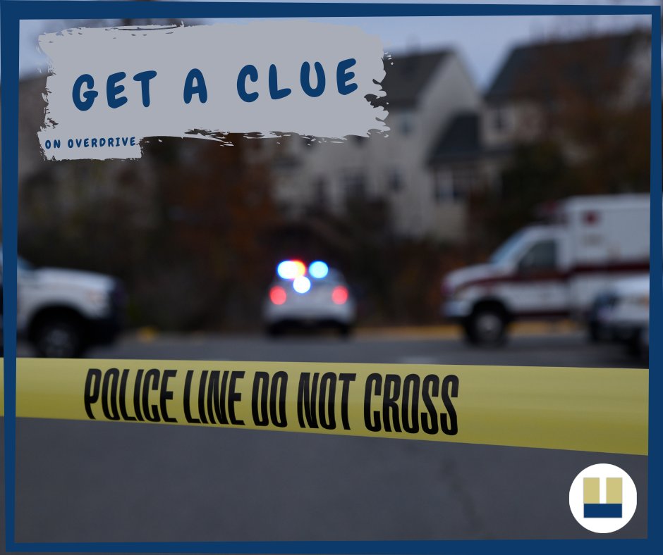 Menands Public Library tweet media