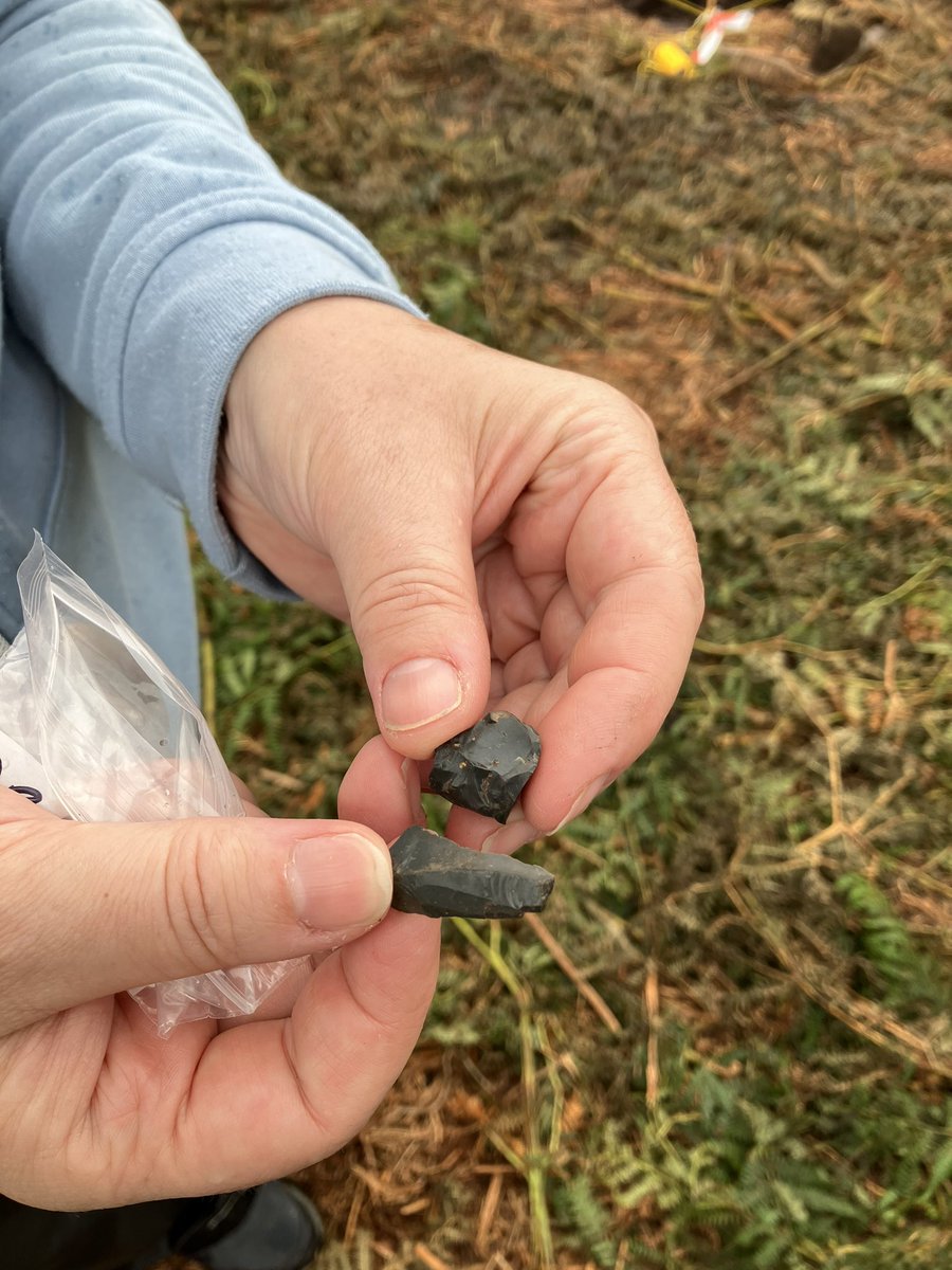urbanprehisto's tweet photo. Arran pitchstone core &amp; blade from the top of the cursus bank in trench 2 at #Drumadoon2022 on Arran
@UofGArchaeo @ArchScot #scotlanddigs2022 https://t.co/ODCkwBzGjU