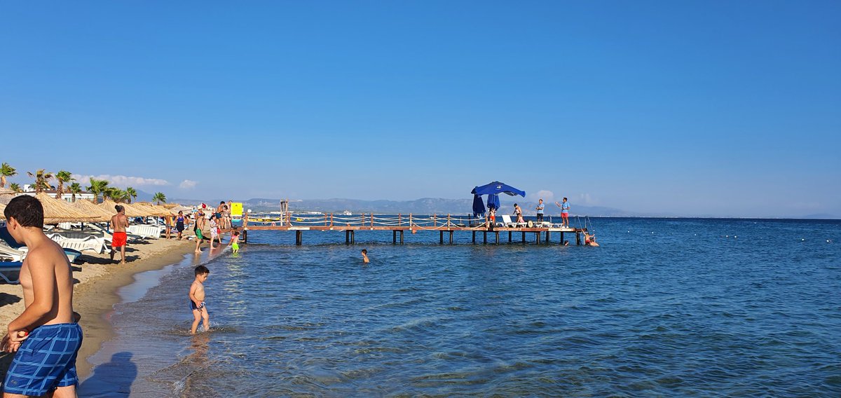 Erdem Erkan tweet media