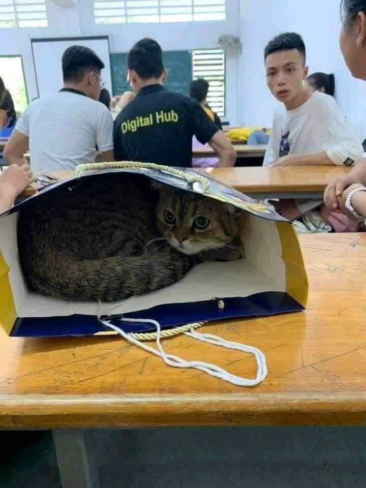 Teacher: "bring only important thing to school"
Me: