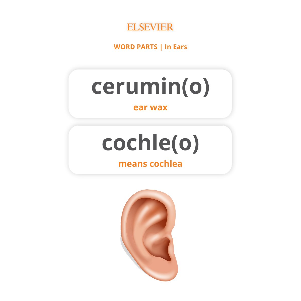 elseviersa's tweet photo. Happy MONDAY! Let's refresh our mastery with a new set of terms 📚🧐

 Swipe left! ➡

#MEDTERMMONDAY #medicalterminology #monday #NCLEX #nclexprep #nclexrn #nclexpn #saundersnclex #nursingschool #nursing  #nurselife #studentlife #elsevier https://t.co/i8W3WTpa6Q