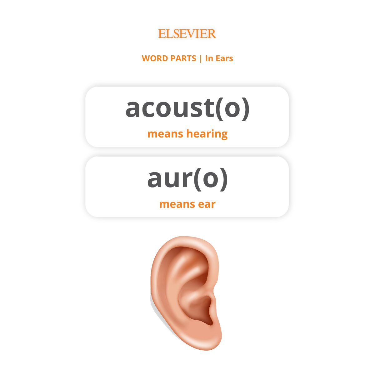 elseviersa's tweet photo. Happy MONDAY! Let's refresh our mastery with a new set of terms 📚🧐

 Swipe left! ➡

#MEDTERMMONDAY #medicalterminology #monday #NCLEX #nclexprep #nclexrn #nclexpn #saundersnclex #nursingschool #nursing  #nurselife #studentlife #elsevier https://t.co/i8W3WTpa6Q