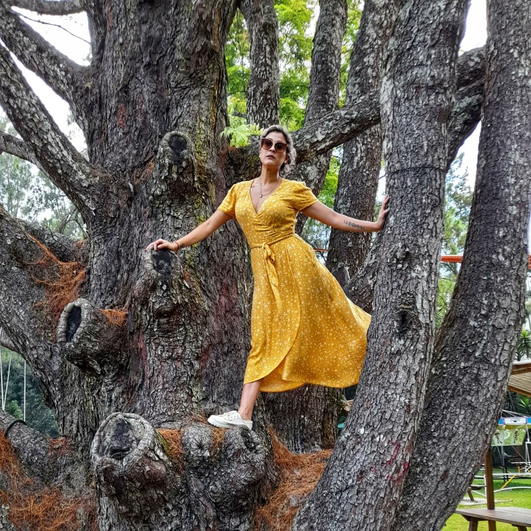 L_ove_M_usic's tweet photo. Espero puedan salir a jugar.
#play #gooutside #salgan #feriado #takeabreak #nature #yellow #climbatree #stepoutside #luciamontepeque https://t.co/4w5r21HZqi
