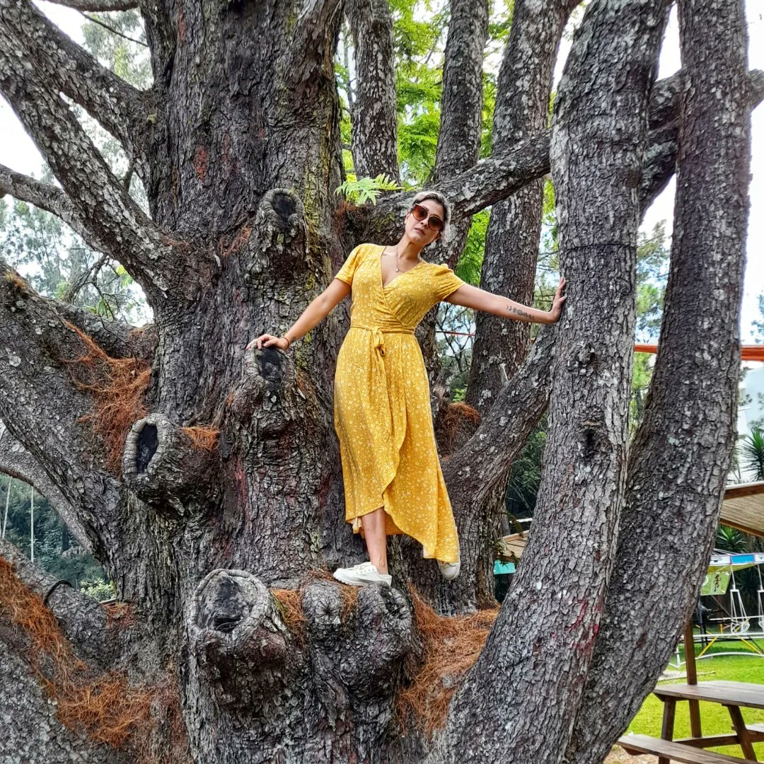 L_ove_M_usic's tweet photo. Espero puedan salir a jugar.
#play #gooutside #salgan #feriado #takeabreak #nature #yellow #climbatree #stepoutside #luciamontepeque https://t.co/4w5r21HZqi