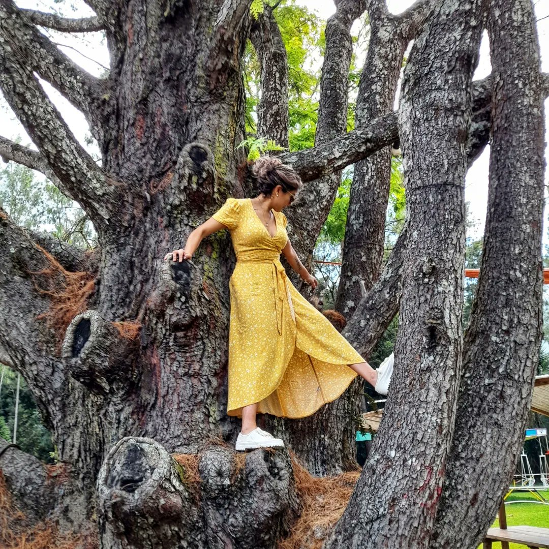 L_ove_M_usic's tweet photo. Espero puedan salir a jugar.
#play #gooutside #salgan #feriado #takeabreak #nature #yellow #climbatree #stepoutside #luciamontepeque https://t.co/4w5r21HZqi