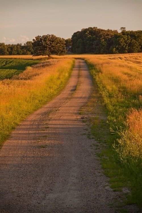 aestheticspost_'s tweet photo. Country life. https://t.co/7DouVVnAHC