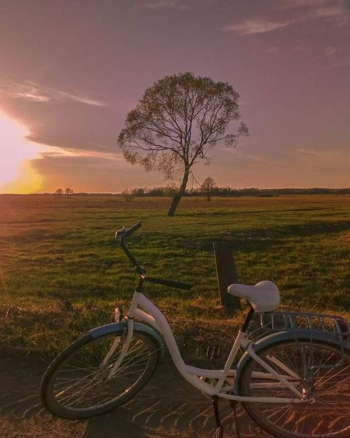 aestheticspost_'s tweet photo. Country life. https://t.co/7DouVVnAHC