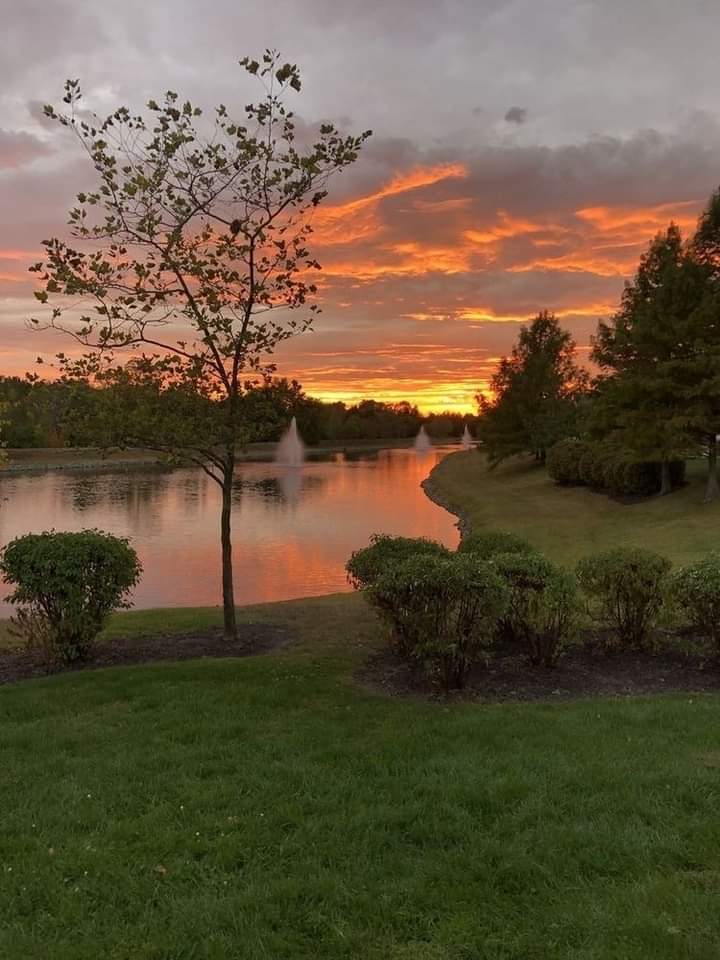 aestheticspost_'s tweet photo. Country life. https://t.co/7DouVVnAHC
