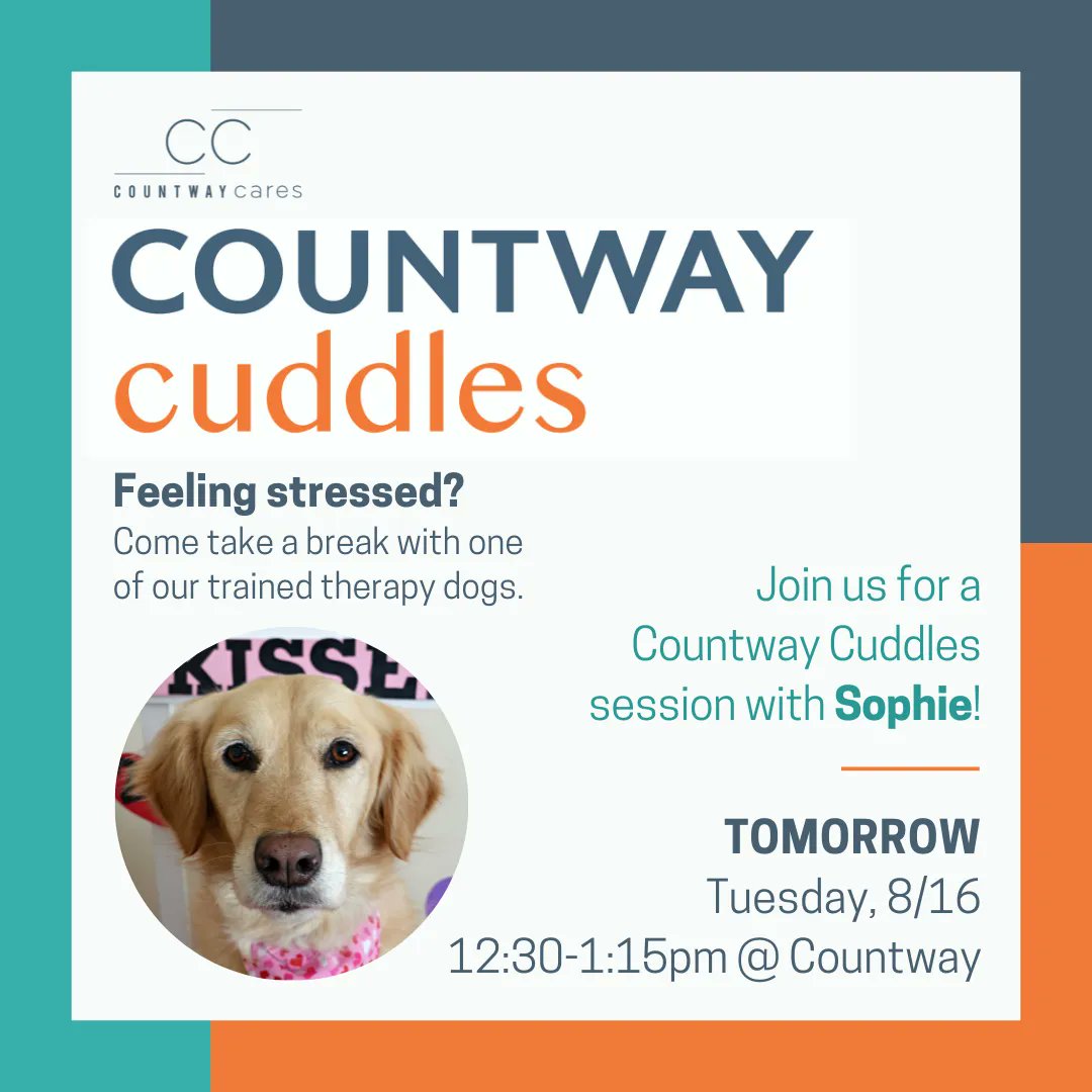 HMSCountway's tweet photo. We're excited to announce the newest member of the #CountwayCuddles family: Sophie the retriever! πΆ Come and meet her at Countway tomorrow (Tuesday) from 12:30-1:15pm! π #pettherapy #librarydogs @HarvardMed @HarvardChanSPH @Dental_Harvard @HMSpostdoc @HarvardGSAS @Harvard https://t.co/u8i1Dt6E1R