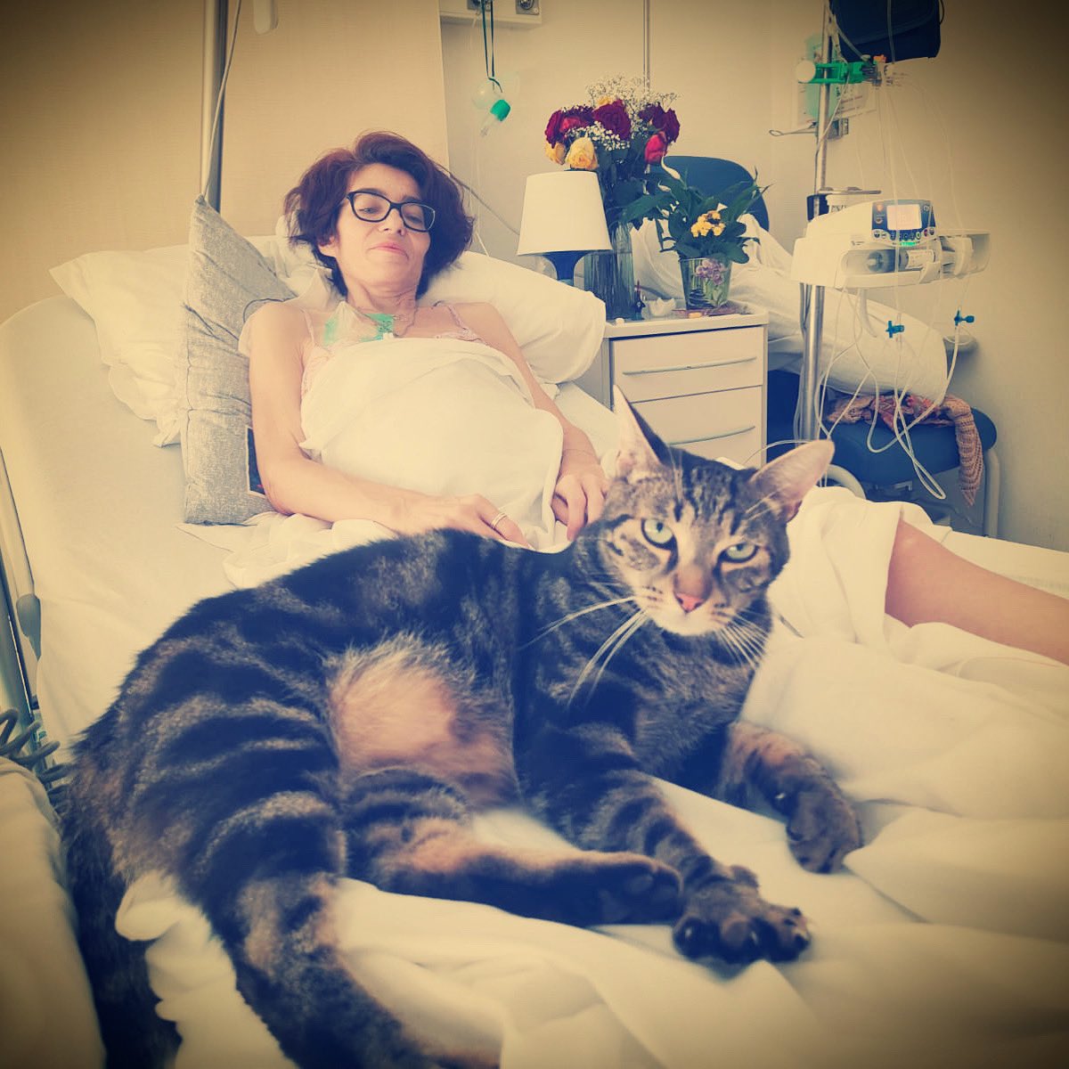 Irulaane-auteure tweet media