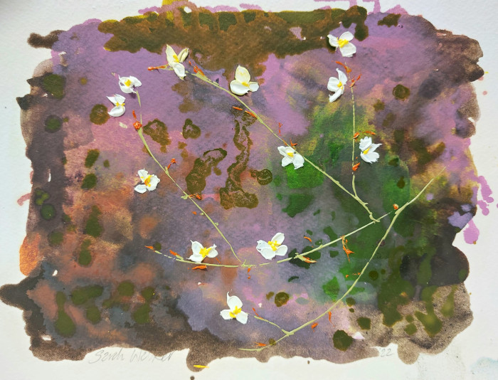 'Brambles Flowering', Oil on paper, 20 x 25cm

#westcork #castletownbere #fineart #fineartpainting #workonpaper #sarahwalkerartist