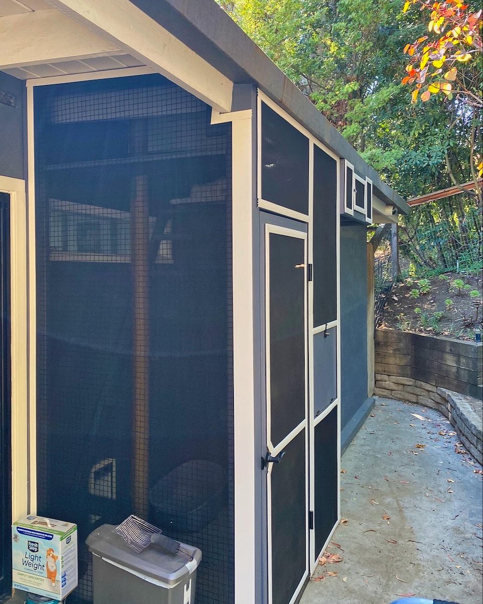 CatioGuy's tweet photo. This Frydman Canyon screened-in / mesh catio is home to a gorgeous Norwegian Tree Cat 🐱 

#cat #cats #catio #catios #catioguy #customcatio #customcatios #catenclosure #screenedporch #catlife #lovecats #lovecat #lovecatsforever #lovecats😻 #catlover #catlovers #CatsOfTwitter https://t.co/Me0YdaL1op