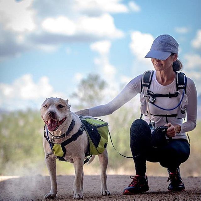 ExtremeMistPCS's tweet image. Take a cooling mister system with you wherever you go!
With 4 high-power misting nozzles this is the perfect system for cool outdoor fun any time of year.

👉👉extrememist.com

#justaddwater #mistingbackpack