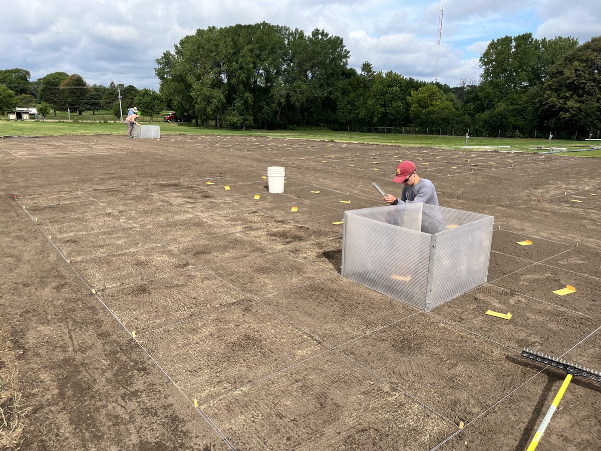 Today we are seeding our second run for tall fescue cold de-acclimation field experiment.   ⁦@OTRFresearch⁩ ⁦<a href="/UMNTurf/">UMN Turfgrass Science</a>⁩