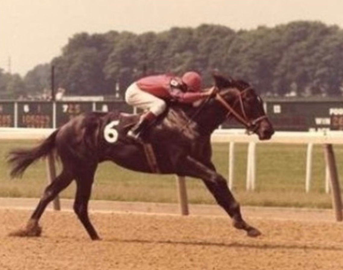 Secretariat on Twitter "The only horse ever favored against