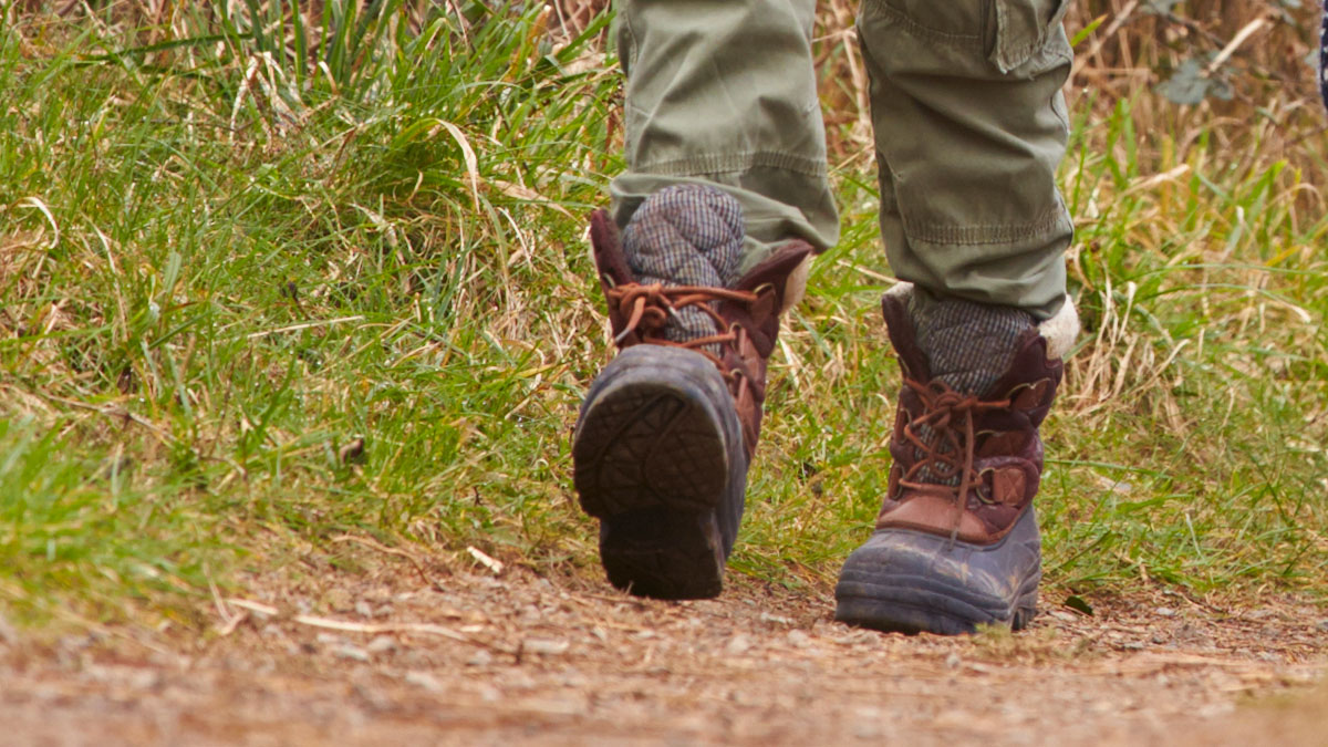 PembsCoast's tweet photo. Walkers are being urged to avoid the section of Coast Path between Newgale and Nolton Haven as efforts to tackle the recent fires in the area continue. https://t.co/lb7nfKeFfr