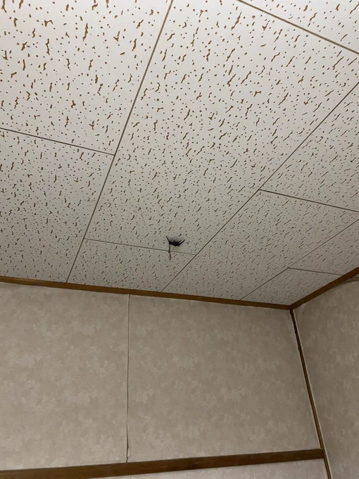 ※しばしじっとしてたので窓開けて外に出した 