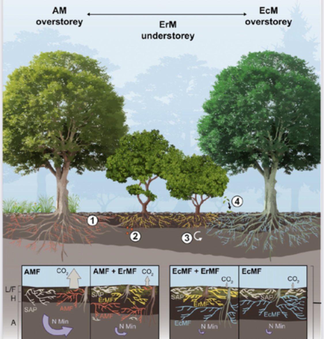 Eli Ward tweet media