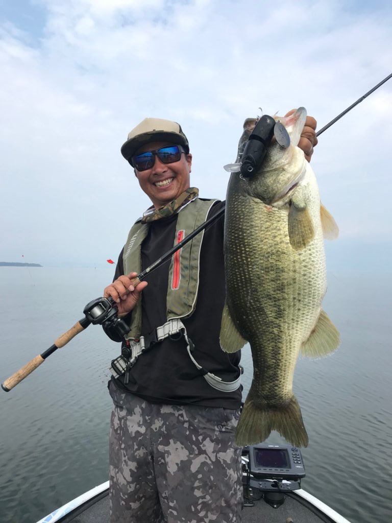 Optimum Baits tweet media