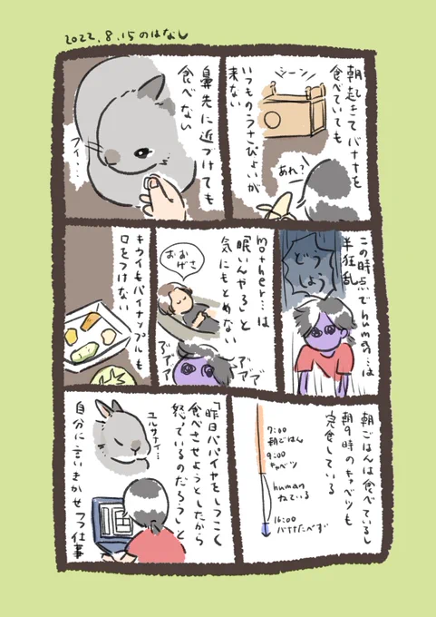 日付け変わって昨日のrabbit…
早く元気になってね
#うさぎのいる生活 