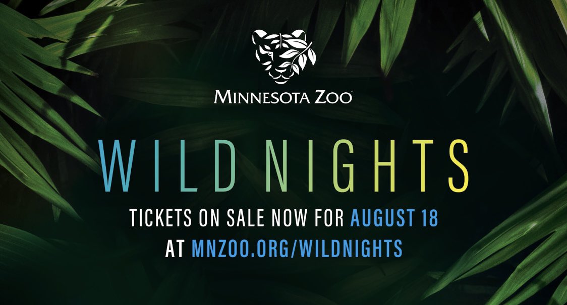 solidgold's tweet image. This Thursday we’ll be playing with @nightmovesmpls at #MNZoo for #WildNights! A festival style, 21+ event featuring local artists, food, drinks, artisans, and more. Set times and tickets at mnzoo.org