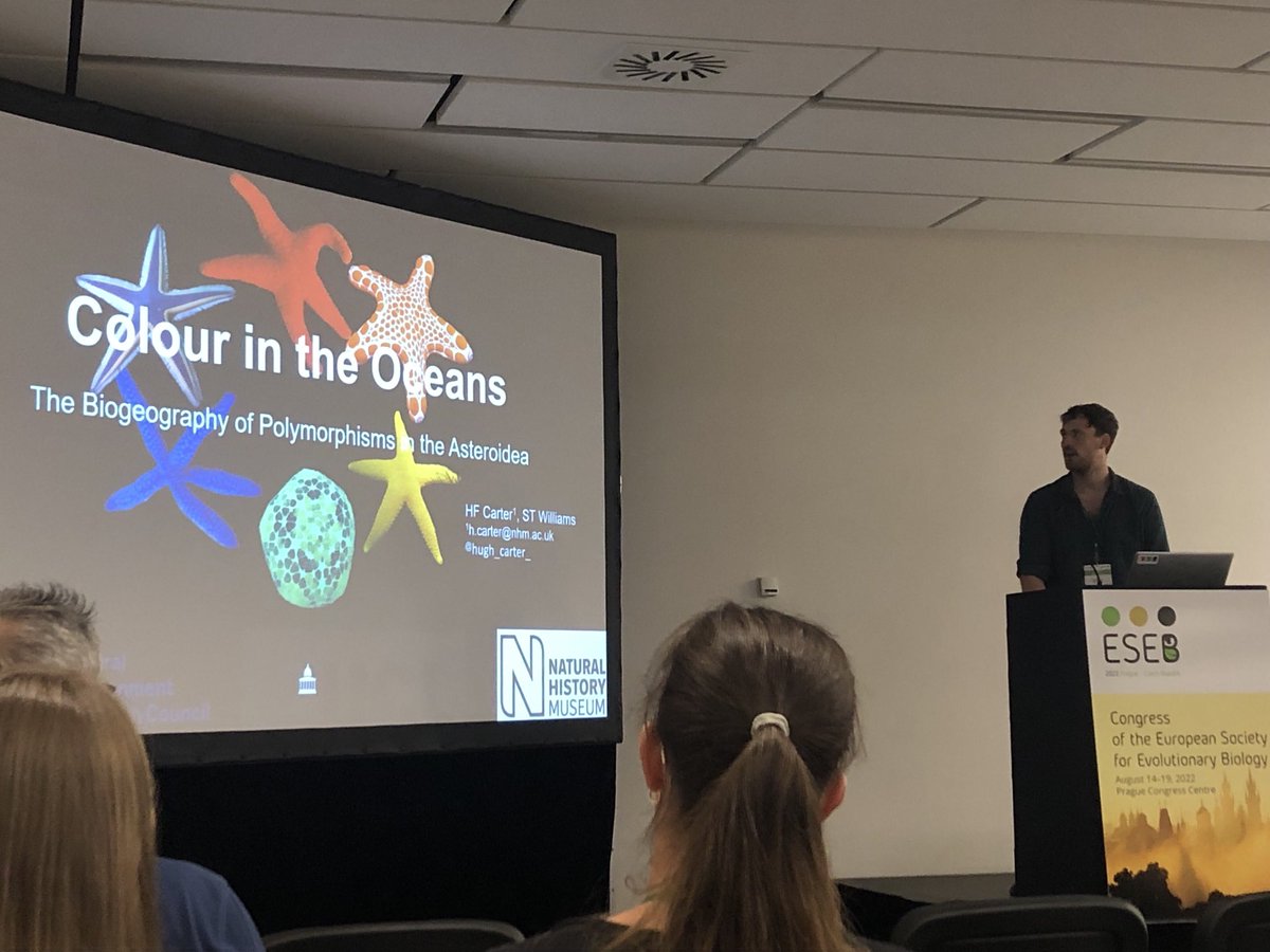 Fabulous talk on starfish colour by Hugh_Carter_!! ⁦<a href="/NHM_Science/">Science at the Natural History Museum</a>⁩ ⁦<a href="/NHM_Students/">NHM_Students</a>⁩ #starfish #ESEB2022