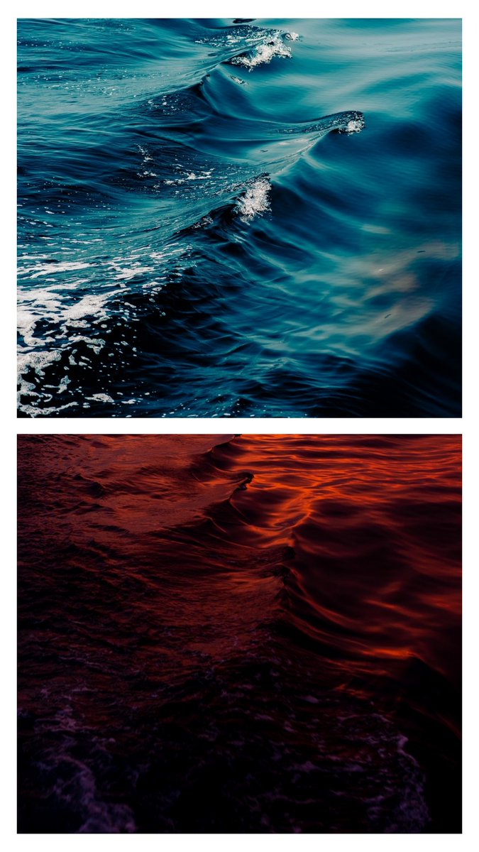 Fotofools 📸 tweet media