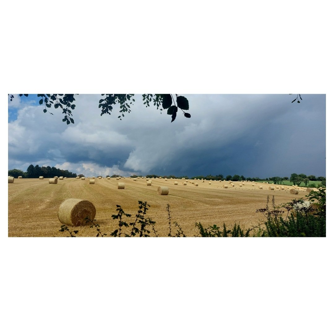 wlhaydock's tweet image. Just before the downpour, and what a downpour it was ⛈️ #bails #summerstorms #Wicklow