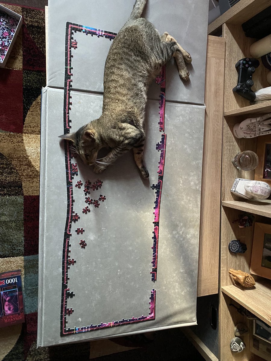 Ahsoka_Butters's tweet photo. Such a helpful little chap! Both kittos have tried to eat the jigsaw pieces 🤣🤣 #Butterstheorientalshorthair #CatsOfTwitter #CatsOnTwitter #helpfulkitty https://t.co/cuw5gnkUaY