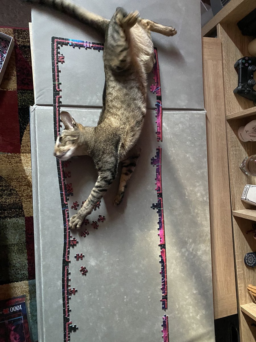 Ahsoka_Butters's tweet photo. Such a helpful little chap! Both kittos have tried to eat the jigsaw pieces 🤣🤣 #Butterstheorientalshorthair #CatsOfTwitter #CatsOnTwitter #helpfulkitty https://t.co/cuw5gnkUaY