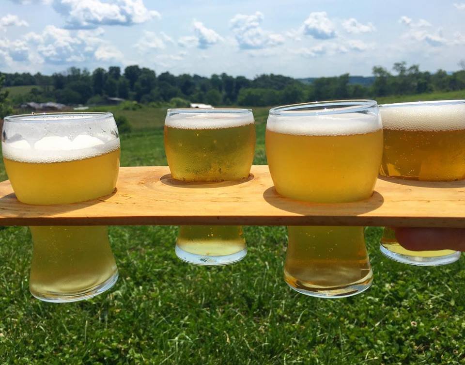 TheVTF's tweet photo. We are two weeks away from the @VTTurfgrass Networking Happy Hour @RisingSiloBrew, serving Beer &amp; Brick Oven Pizza! https://t.co/IU2HoPgcXF Register &amp; Spread the word! Thank you to our sponsors and industry affiliates tagged plus: #GameDayInc #TrinityTurf #WilliamsBrothersTree https://t.co/PIDJ4nxxvD