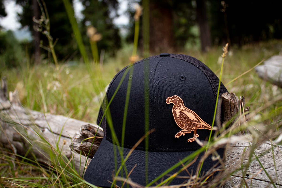 burnt_co's tweet photo. Life is just too short to go quail hunting with the wrong people - Jimmy Carter

#burntco #quail #quailhunting https://t.co/vn121yMKCb